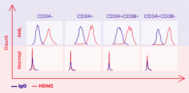 HDM2 graph